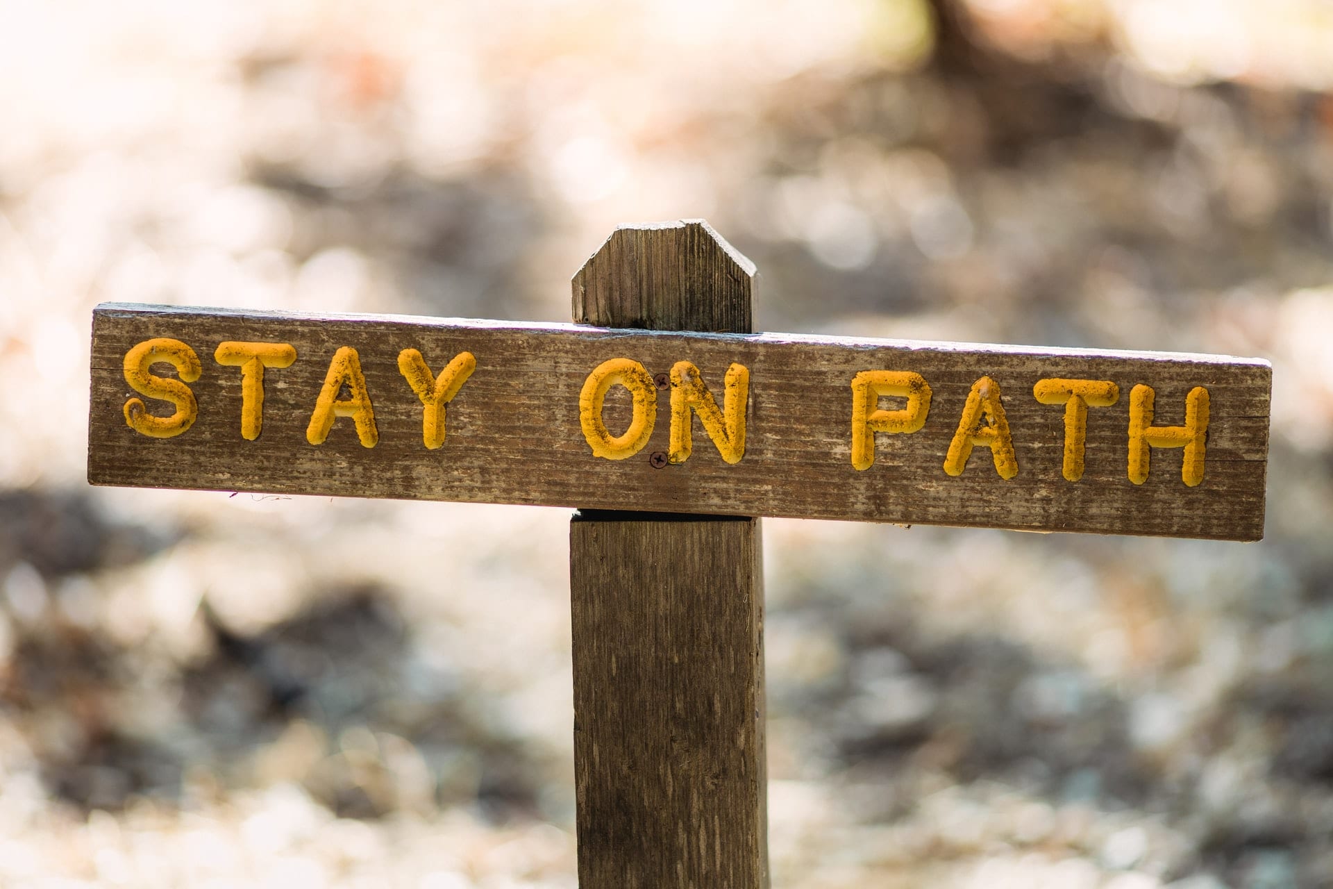 Wooden sign that reads "stay on path"